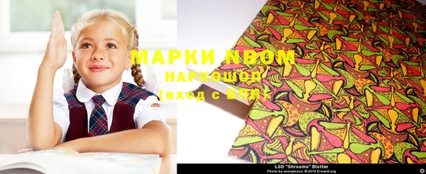 амф Арсеньев