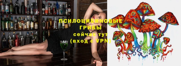 гидропоника Медвежьегорск