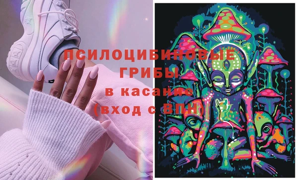 амф Арсеньев