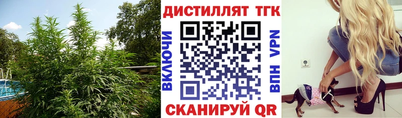 купить   Омутнинск  ТГК вейп 