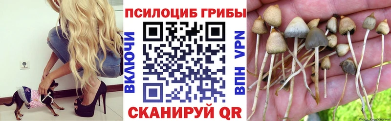 купить наркоту  Омутнинск  Галлюциногенные грибы мухоморы 
